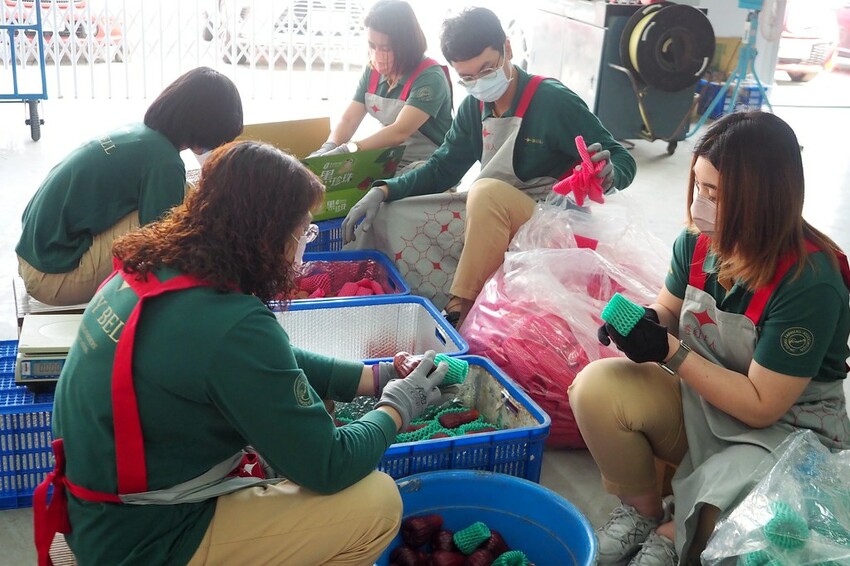 【屏東親子景點】♥透紅佳人探索樂園♥全台唯一蓮霧主題觀光工廠.可愛蓮霧巨人.蓮霧風味手作愛玉/窯烤披薩DIY