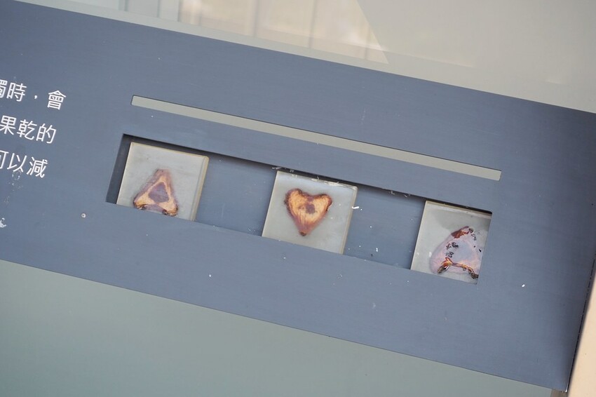 【屏東親子景點】♥透紅佳人探索樂園♥全台唯一蓮霧主題觀光工廠.可愛蓮霧巨人.蓮霧風味手作愛玉/窯烤披薩DIY