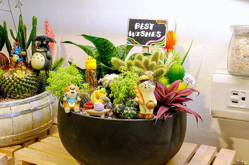 多肉植物種類豐富，丸子植物工作室，集結平價盆栽、上千款公仔、日雜小物超好逛！