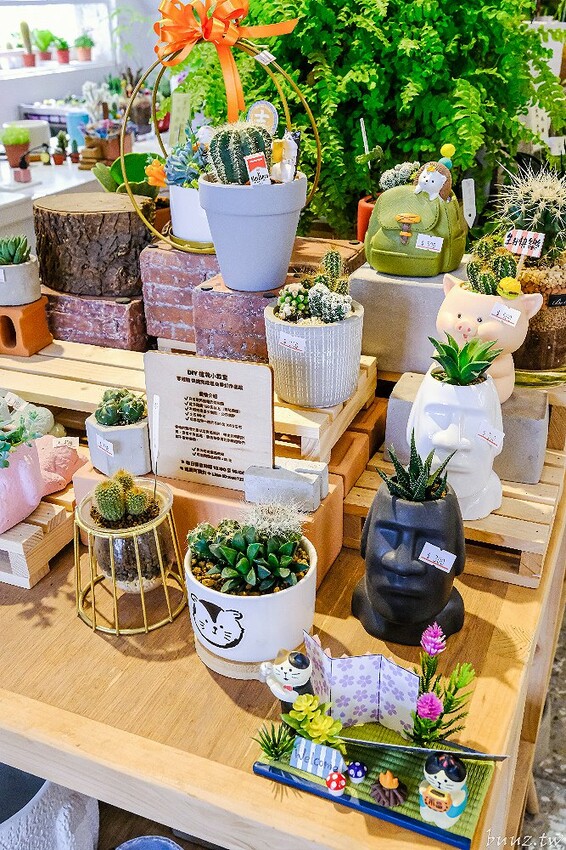 多肉植物種類豐富，丸子植物工作室，集結平價盆栽、上千款公仔、日雜小物超好逛！