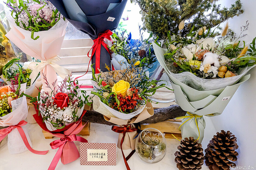 多肉植物種類豐富，丸子植物工作室，集結平價盆栽、上千款公仔、日雜小物超好逛！