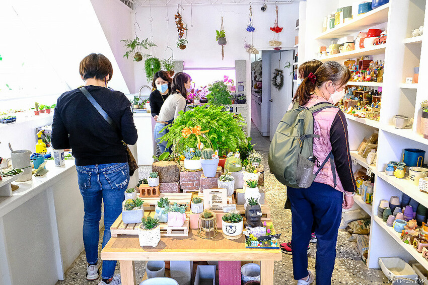 多肉植物種類豐富，丸子植物工作室，集結平價盆栽、上千款公仔、日雜小物超好逛！