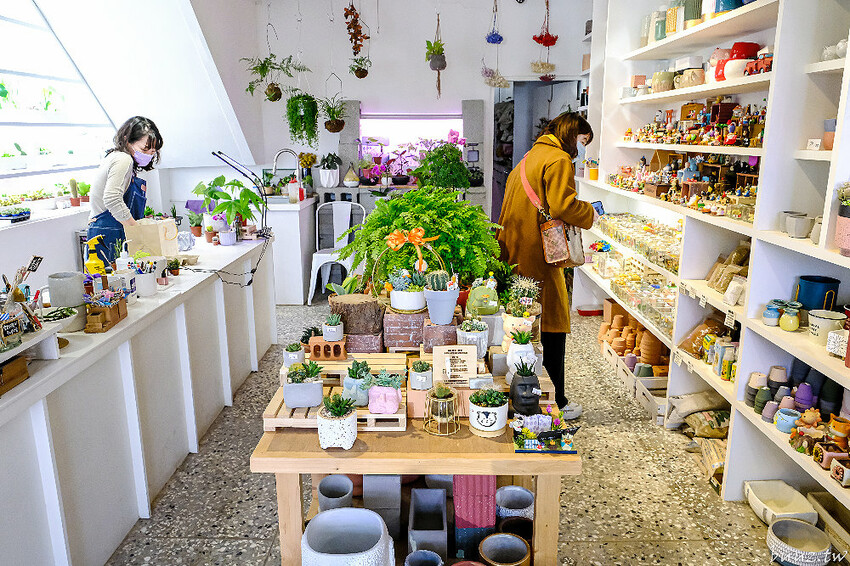多肉植物種類豐富，丸子植物工作室，集結平價盆栽、上千款公仔、日雜小物超好逛！