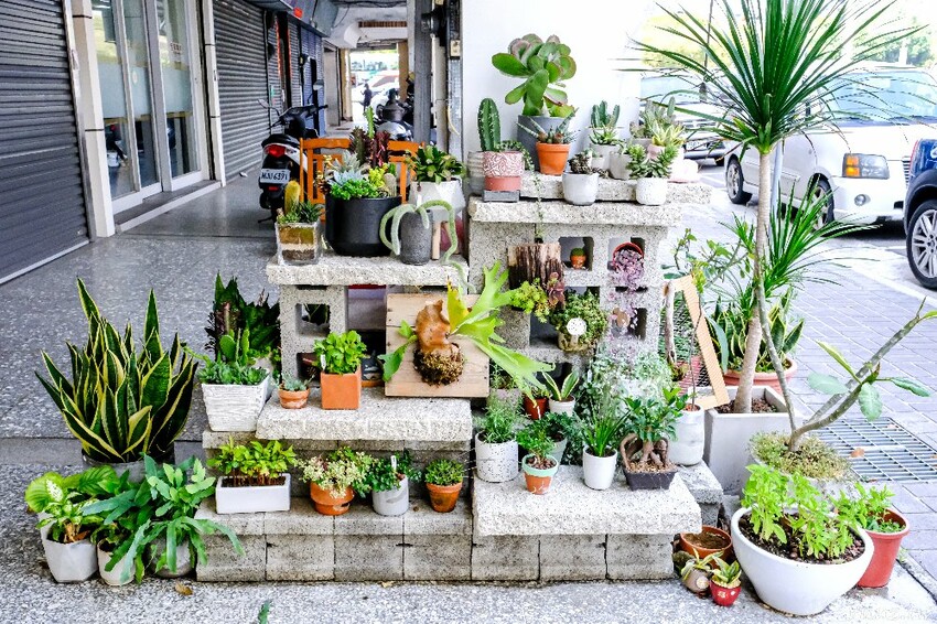 多肉植物種類豐富，丸子植物工作室，集結平價盆栽、上千款公仔、日雜小物超好逛！