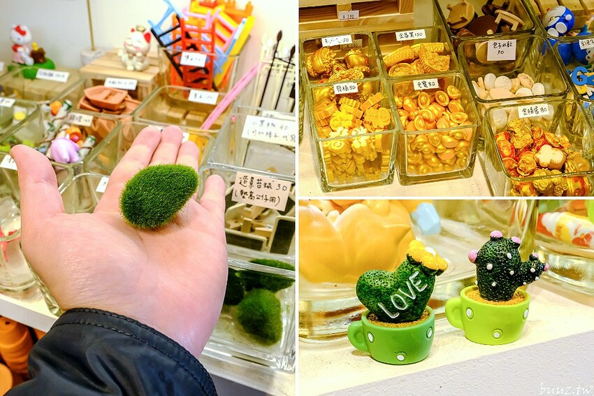 多肉植物種類豐富，丸子植物工作室，集結平價盆栽、上千款公仔、日雜小物超好逛！