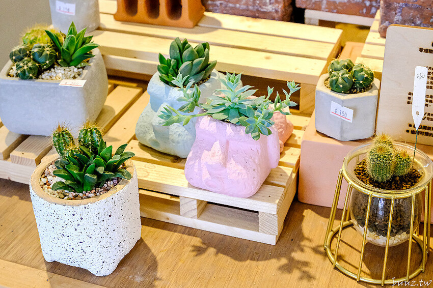 多肉植物種類豐富，丸子植物工作室，集結平價盆栽、上千款公仔、日雜小物超好逛！