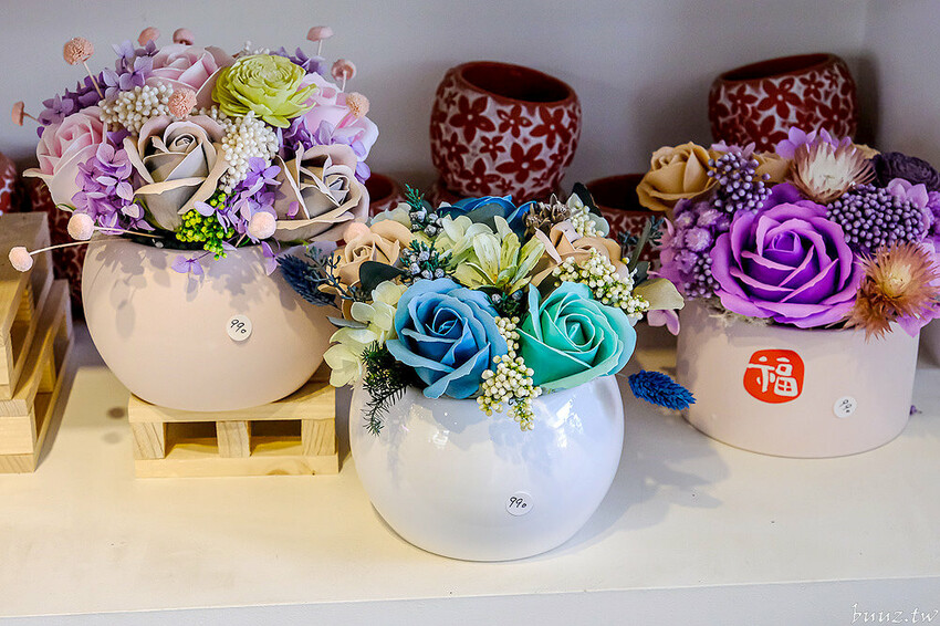 多肉植物種類豐富，丸子植物工作室，集結平價盆栽、上千款公仔、日雜小物超好逛！