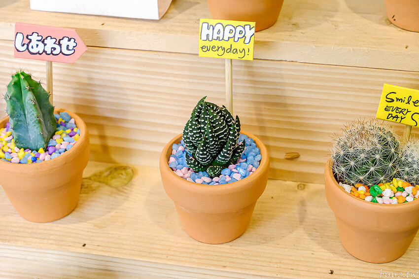 多肉植物種類豐富，丸子植物工作室，集結平價盆栽、上千款公仔、日雜小物超好逛！