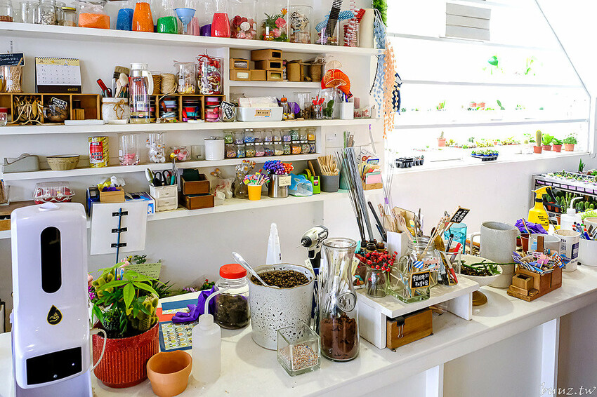 多肉植物種類豐富，丸子植物工作室，集結平價盆栽、上千款公仔、日雜小物超好逛！