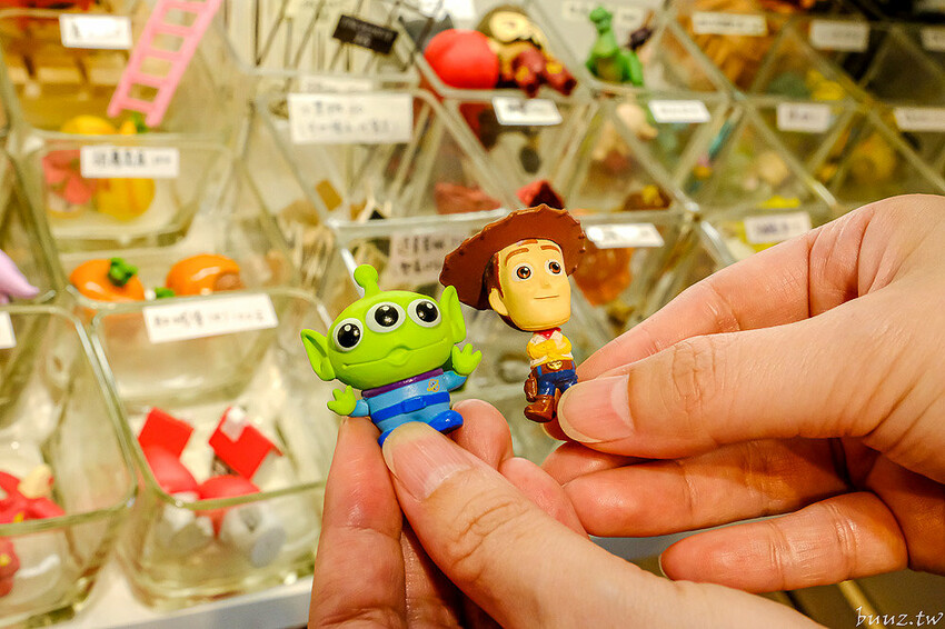 多肉植物種類豐富，丸子植物工作室，集結平價盆栽、上千款公仔、日雜小物超好逛！