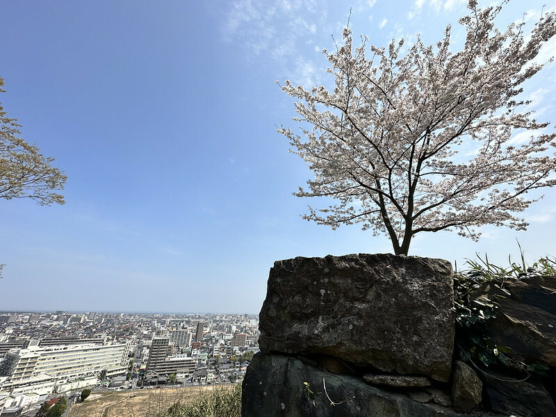 【日本,鳥取,米子市】米子城跡(よなごじょう),市區內的健行、賞櫻名勝。(鳥取旅遊,鳥取櫻花)