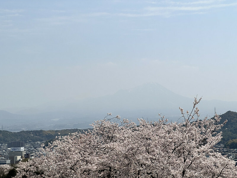 【日本,鳥取,米子市】米子城跡(よなごじょう),市區內的健行、賞櫻名勝。(鳥取旅遊,鳥取櫻花)