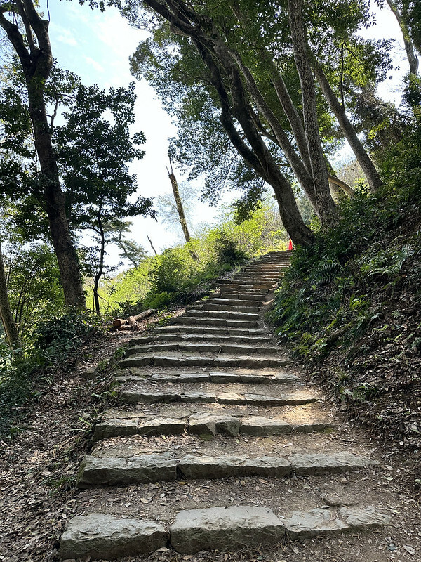 【日本,鳥取,米子市】米子城跡(よなごじょう),市區內的健行、賞櫻名勝。(鳥取旅遊,鳥取櫻花)