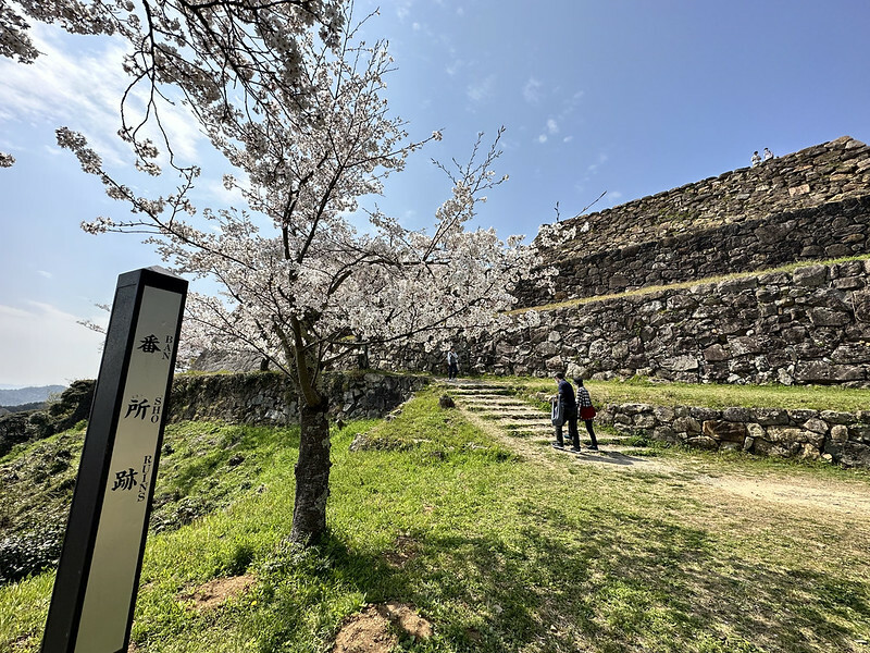 【日本,鳥取,米子市】米子城跡(よなごじょう),市區內的健行、賞櫻名勝。(鳥取旅遊,鳥取櫻花)