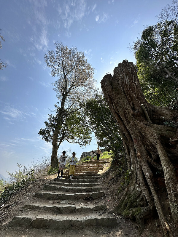 【日本,鳥取,米子市】米子城跡(よなごじょう),市區內的健行、賞櫻名勝。(鳥取旅遊,鳥取櫻花)