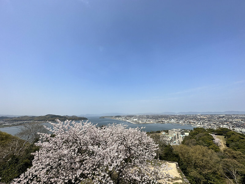 【日本,鳥取,米子市】米子城跡(よなごじょう),市區內的健行、賞櫻名勝。(鳥取旅遊,鳥取櫻花)