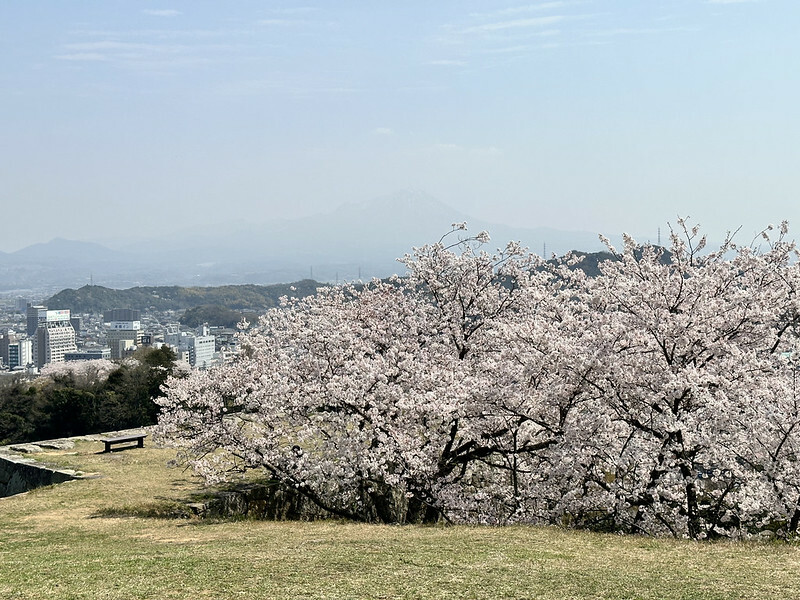 【日本,鳥取,米子市】米子城跡(よなごじょう),市區內的健行、賞櫻名勝。(鳥取旅遊,鳥取櫻花)