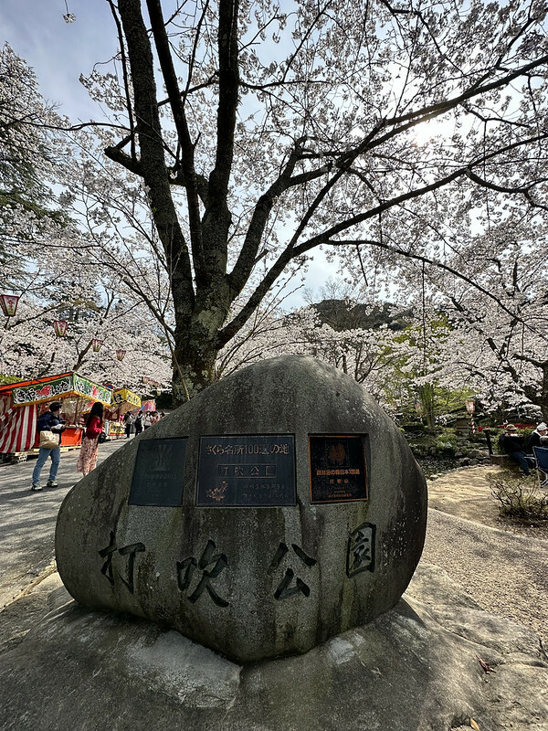 【日本，鳥取，倉吉市】打吹公園，在「櫻花名所百選」賞櫻、逛屋台，來張「解脫紙」能將不好的事情留在水池