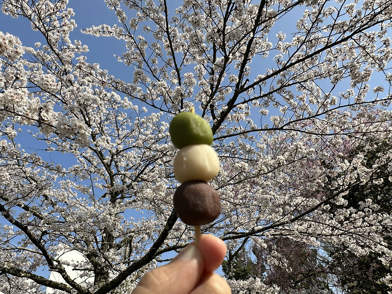 【日本，鳥取，倉吉市】打吹公園，在「櫻花名所百選」賞櫻、逛屋台，來張「解脫紙」能將不好的事情留在水池