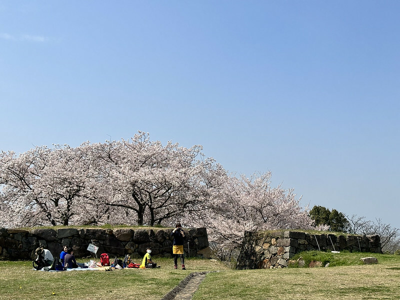 【日本,鳥取,米子市】米子城跡(よなごじょう),市區內的健行、賞櫻名勝。(鳥取旅遊,鳥取櫻花)
