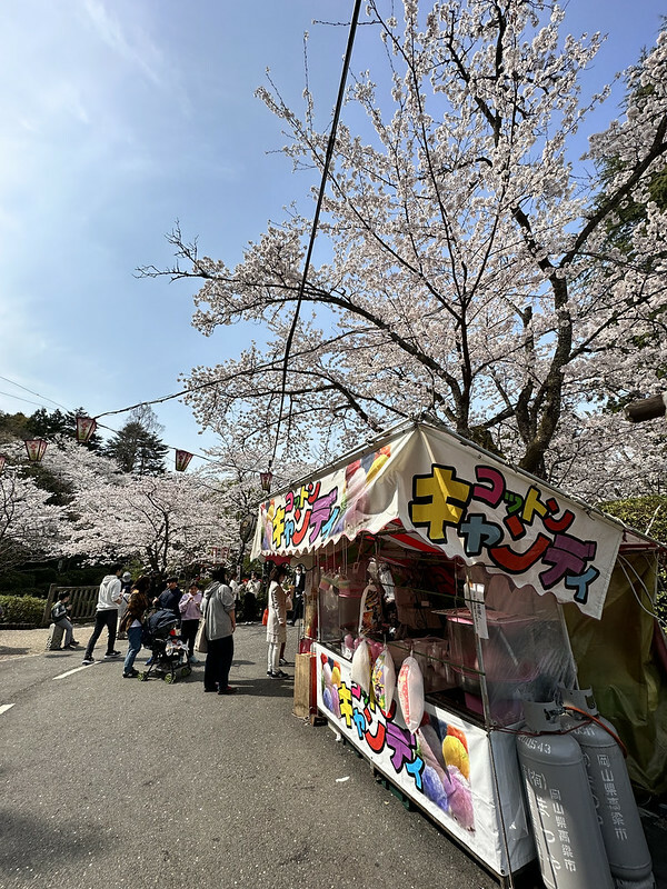【日本，鳥取，倉吉市】打吹公園，在「櫻花名所百選」賞櫻、逛屋台，來張「解脫紙」能將不好的事情留在水池