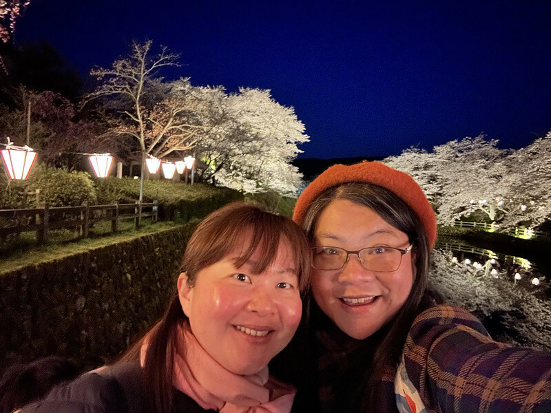 【日本，鳥取】鹿野城跡公園，夜得好美，好魔幻！！（2023日本賞櫻，夜櫻超推，鳥取賞櫻秘境）