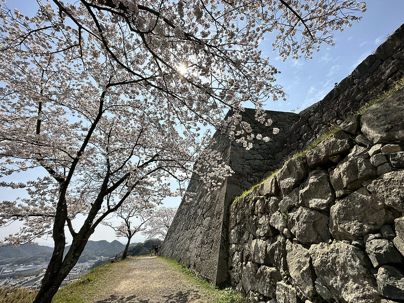 【日本,鳥取,米子市】米子城跡(よなごじょう),市區內的健行、賞櫻名勝。(鳥取旅遊,鳥取櫻花)