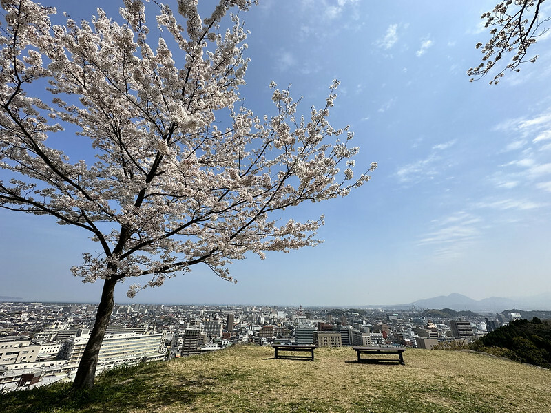 【日本,鳥取,米子市】米子城跡(よなごじょう),市區內的健行、賞櫻名勝。(鳥取旅遊,鳥取櫻花)