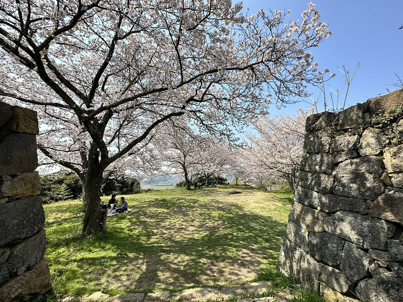【日本,鳥取,米子市】米子城跡(よなごじょう),市區內的健行、賞櫻名勝。(鳥取旅遊,鳥取櫻花)