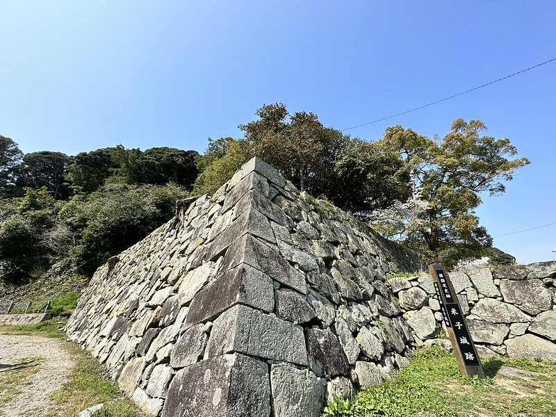 【日本,鳥取,米子市】米子城跡(よなごじょう),市區內的健行、賞櫻名勝。(鳥取旅遊,鳥取櫻花)