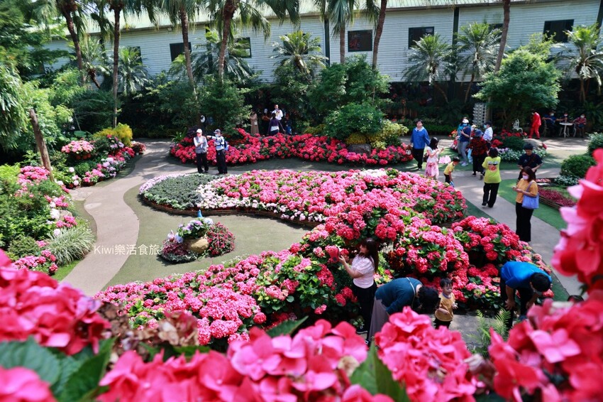 2023花露農場繡球花季|苗栗景點推薦花露農場花季一日遊,森林花園秘境、全台唯一精油城堡,近苗栗鯉魚潭水