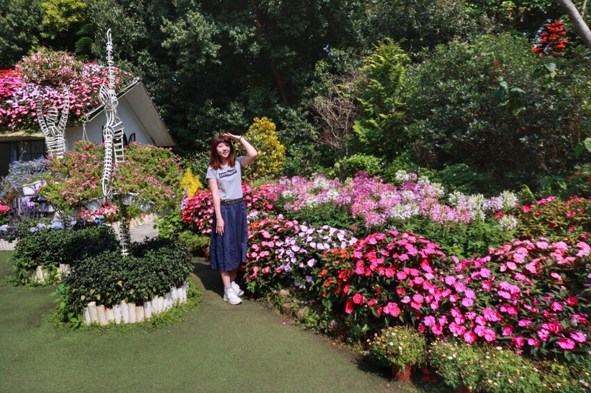 2023花露農場繡球花季|苗栗景點推薦花露農場花季一日遊,森林花園秘境、全台唯一精油城堡,近苗栗鯉魚潭水