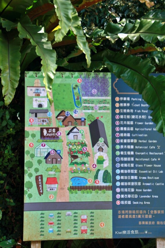 2023花露農場繡球花季|苗栗景點推薦花露農場花季一日遊,森林花園秘境、全台唯一精油城堡,近苗栗鯉魚潭水