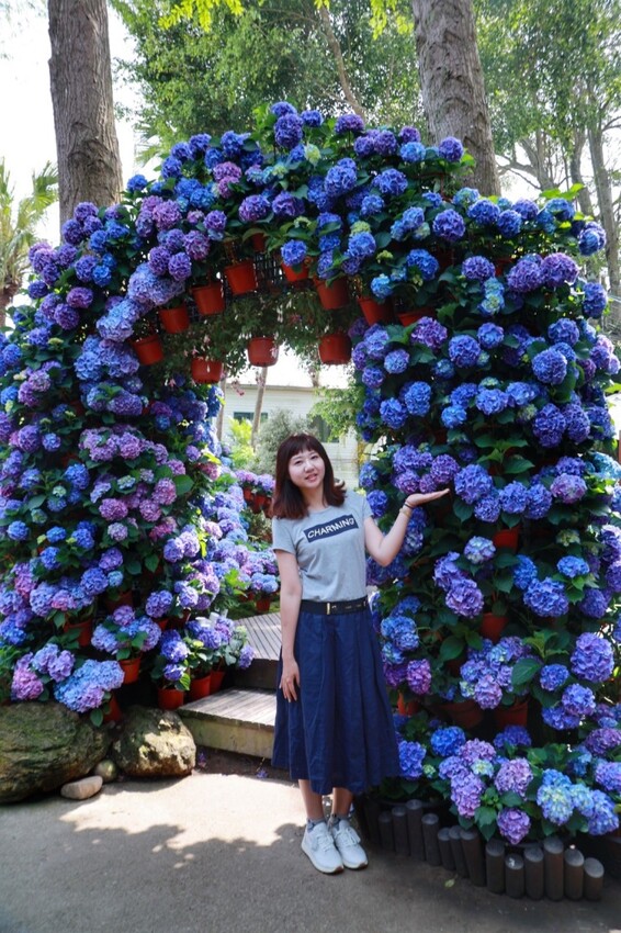 2023花露農場繡球花季|苗栗景點推薦花露農場花季一日遊,森林花園秘境、全台唯一精油城堡,近苗栗鯉魚潭水