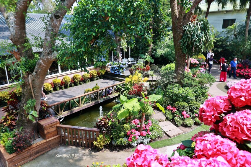 2023花露農場繡球花季|苗栗景點推薦花露農場花季一日遊,森林花園秘境、全台唯一精油城堡,近苗栗鯉魚潭水