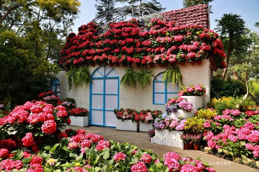 2023花露農場繡球花季|苗栗景點推薦花露農場花季一日遊,森林花園秘境、全台唯一精油城堡,近苗栗鯉魚潭水