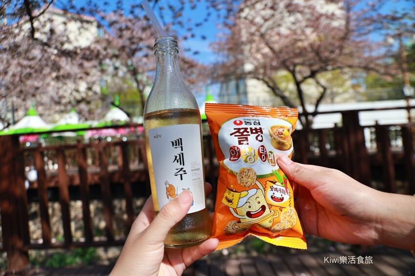 走訪韓國釜山櫻花就是要來個tour行程,賞櫻超順暢輕鬆收集慶和火車站&余佐川櫻花道