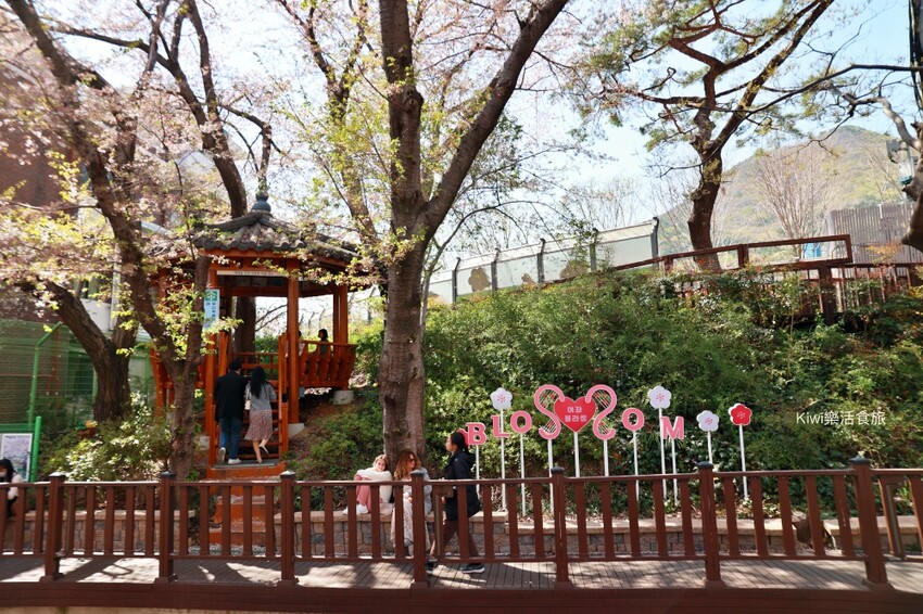 韓國釜山景點余川櫻花廊道｜韓國釜山鎮海軍港節櫻花季，周邊美食景點推薦，鎮海一日遊