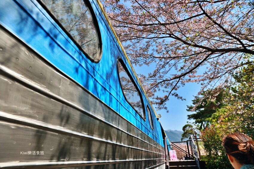 走訪韓國釜山櫻花就是要來個tour行程,賞櫻超順暢輕鬆收集慶和火車站&余佐川櫻花道