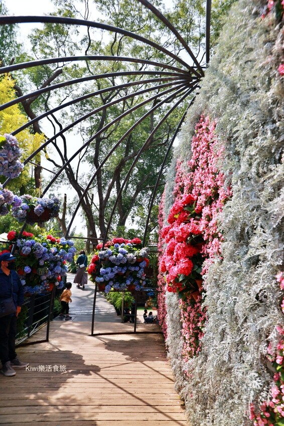 2023花露農場繡球花季|苗栗景點推薦花露農場花季一日遊,森林花園秘境、全台唯一精油城堡,近苗栗鯉魚潭水