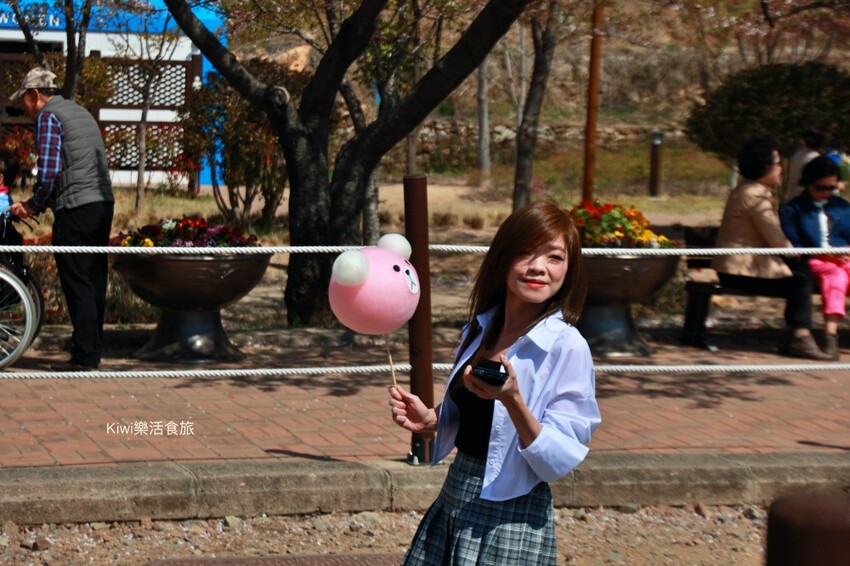走訪韓國釜山櫻花就是要來個tour行程,賞櫻超順暢輕鬆收集慶和火車站&余佐川櫻花道