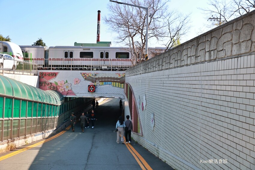韓國釜山景點余川櫻花廊道｜韓國釜山鎮海軍港節櫻花季，周邊美食景點推薦，鎮海一日遊