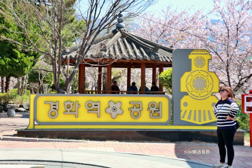 走訪韓國釜山櫻花就是要來個tour行程,賞櫻超順暢輕鬆收集慶和火車站&余佐川櫻花道