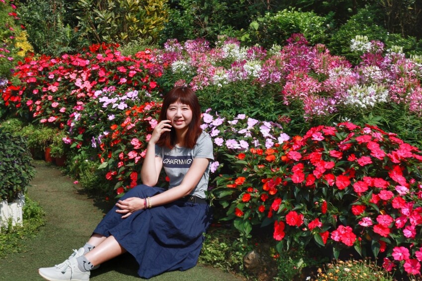 2023花露農場繡球花季|苗栗景點推薦花露農場花季一日遊,森林花園秘境、全台唯一精油城堡,近苗栗鯉魚潭水