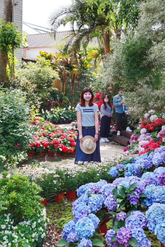 2023花露農場繡球花季|苗栗景點推薦花露農場花季一日遊,森林花園秘境、全台唯一精油城堡,近苗栗鯉魚潭水