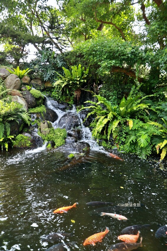 2023花露農場繡球花季|苗栗景點推薦花露農場花季一日遊,森林花園秘境、全台唯一精油城堡,近苗栗鯉魚潭水