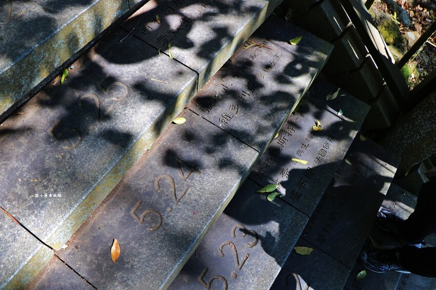 文武廟年梯步道‧366階生日步梯，找找自己的生日階梯，順到向山遊客中心踏踏青 - 敦 小 蓮の食旅錄