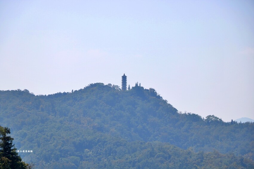 文武廟年梯步道‧366階生日步梯，找找自己的生日階梯，順到向山遊客中心踏踏青 - 敦 小 蓮の食旅錄