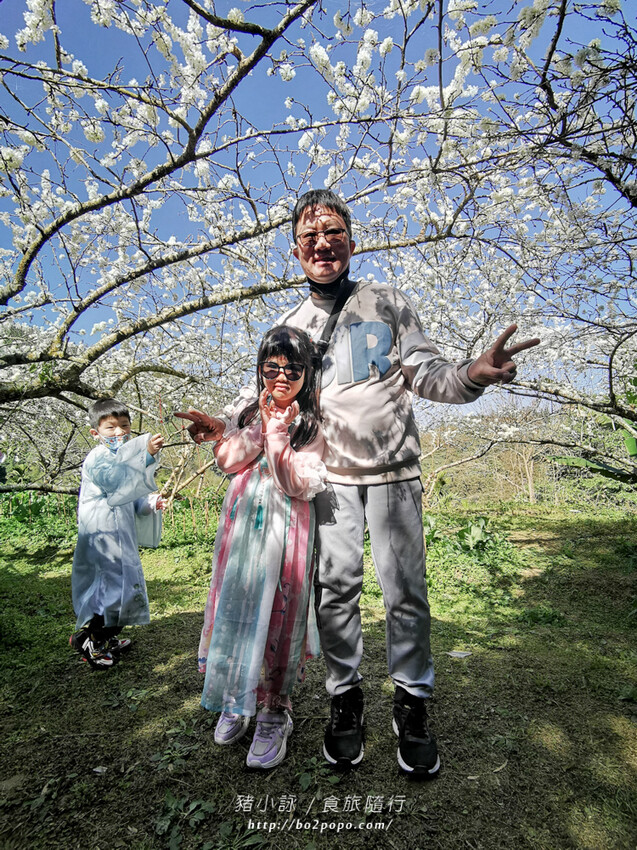 嘉義。梅山》太興龍王金殿+原住民休息站+牛伯伯茶塢+樟樹湖櫻花