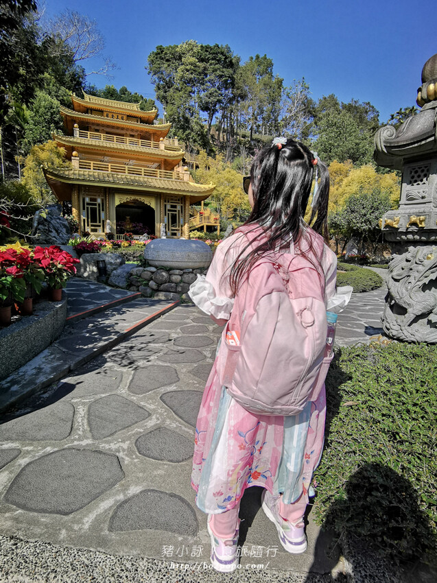 嘉義。梅山》太興龍王金殿+原住民休息站+牛伯伯茶塢+樟樹湖櫻花